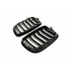 ATRACȚIE CAPAC MOTOR STICLĂ ALBASTRĂ DUBLĂ BMW X5 E70 51712150246