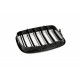 ATRACȚIE CAPAC MOTOR STICLĂ ALBASTRĂ DUBLĂ BMW X5 E70 51712150246