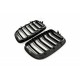 Acoperiș motor ATTRACTOR dublu lamă carbon BMW X5 E70 51712150246