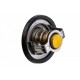 TERMOSTAT 3.5 CHRYSLER 300C 04-, 300M 98-, CONCORDE 97-, DODGE CHARGER 05-, 0489217AA