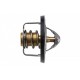TERMOSTAT 3.5 CHRYSLER 300C 04-, 300M 98-, CONCORDE 97-, DODGE CHARGER 05-, 0489217AA