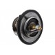 TERMOSTAT HYUNDAI,KIA,NISSAN,RENAULT,DACIA 255002B000