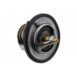 TERMOSTAT HYUNDAI,KIA,NISSAN,RENAULT,DACIA 255002B000