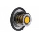TERMOSTAT HYUNDAI,KIA,NISSAN,RENAULT,DACIA 255002B000