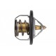TERMOSTAT HYUNDAI,KIA,NISSAN,RENAULT,DACIA 255002B000