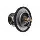 TERMOSTAT NISSAN, RENAULT, OPEL, FIAT, CHEVROLET, FORD, LANCIA, CHEVROLET 212006N210