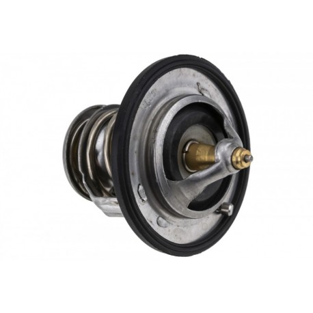 TERMOSTAT NISSAN, RENAULT, OPEL, FIAT, CHEVROLET, FORD, LANCIA, CHEVROLET 212006N210