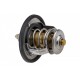 TERMOSTAT NISSAN, RENAULT, OPEL, FIAT, CHEVROLET, FORD, LANCIA, CHEVROLET 212006N210