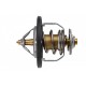 TERMOSTAT NISSAN, RENAULT, OPEL, FIAT, CHEVROLET, FORD, LANCIA, CHEVROLET 212006N210