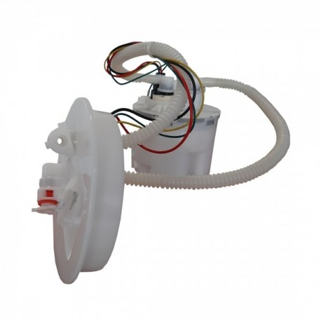 Pompă de combustibil Ford Focus II, Tourneo Connect, Transit Connect. 106087