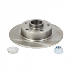 Placă de frână spate L/P RENAULT CLIO IV, MEGANE CC, MEGANE III, SCE 432006506R