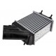 INTERCOOLER RENAULT MEGANE I (95-) 1.9 DCI, SCENIC I (96-) 1.9 DCI (DIESEL) 7700838130