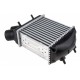 INTERCOOLER RENAULT MEGANE I (95-) 1.9 DCI, SCENIC I (96-) 1.9 DCI (DIESEL) 7700838130