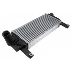 INTERCOOLER NISSAN NAVARA II (D40) (05-) 2.5 DCI, PATHFINDER (05-) 2.5 DCI 14461-EB360