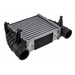 INTERCOOLER A4 / S4 (B6, B7) (00-) 2.0 TDI, EXEO (3R) (09-) 2.0 TDI (MODUL DREAPTA) 8E0145806Q