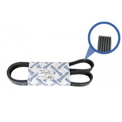 Curea poliv cu caneluri multiple 6PK1305 Fiat Punto Panda Doblo 1.3JTD 03 46820063A696