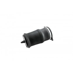 PERNĂ PNEUMATICĂ MB W639 6393280101