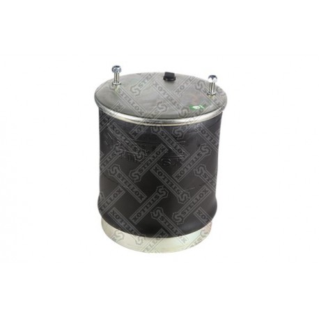 Perna pneumatică SAF 3229003600