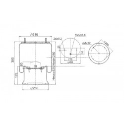 Perna pneumatică SAF 905966
