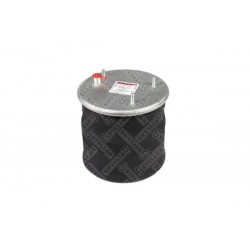 Perna pneumatică DAF 75 85 95 CF XF 1697682