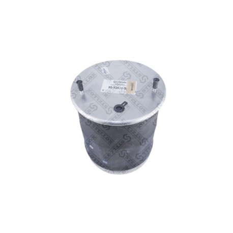 Perna pneumatică SCHMITZ 1344510