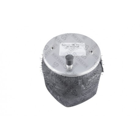 Perna pneumatică SCHMITZ 1529763