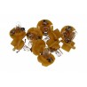Bec BAX 12V 1.3W BX8.4D Verde Oliv (cu soclu plastic) Set 10 bucăți