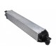 INTERCOOLER RENAULT LAGUNA III (07-) 2.0 DCI (MAN/AUT, AC +/-, DIESEL) 144960001R
