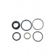 SET DE GARNITURI TRIM VOLVO PENTA DPS-A SX-A 3889954 22172