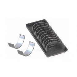 Set de cuzineți bielă MerCruiser 4.3L V6