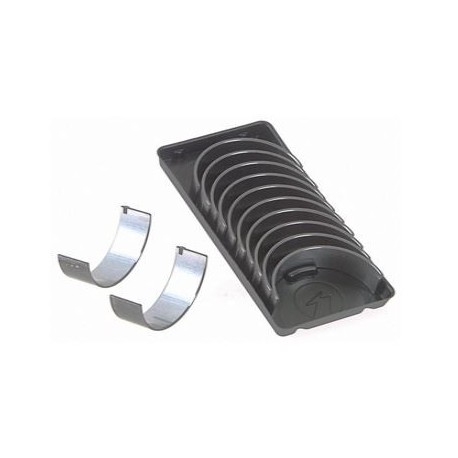 Set de cuzineți bielă MerCruiser 4.3L V6