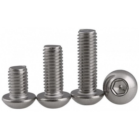 Șurub cu cap bombat M10x30mm ISO7380-1 A2