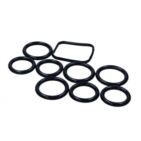Set garnituri galerie evacuare Citroen 1.6D 0348R4