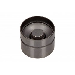 Tachetă hidraulică supapă Volkswagen 1,8-2,8 20V 9 V10-0163-1