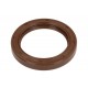 SIMMERING ARBORE CU CAME YAMAHA/PARSUN F20-F60 F25-05050021