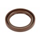 SIMMERING ARBORE CU CAME YAMAHA/PARSUN F20-F60 F25-05050021