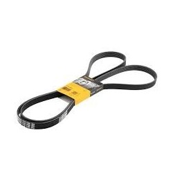 Curea de transmisie multi-canelată Conti 6PK2490