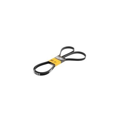 Curea de transmisie multi-canelată Conti 6PK2490
