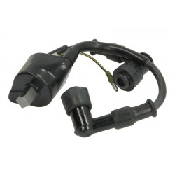 Bobină de aprindere Mercury 9.9HP 15HP 18HP 2T 8M0047313 118-5133