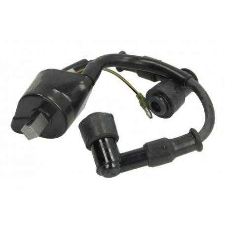 Bobină de aprindere Mercury 9.9HP 15HP 18HP 2T 8M0047313 118-5133