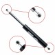 Amortizor telescopic portbagaj EP 10013GS - EinParts 0019808064