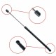 Amortizor telescopic portbagaj EP 10137GS EinParts 5132262