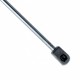 Amortizor telescopic portbagaj EP 10156GS - EinParts 176608