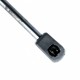 Amortizor telescopic portbagaj EP 10157GS EinParts 176607