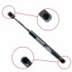Amortizor telescopic portbagaj EP 10157GS EinParts 176607