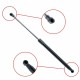 Amortizor telescopic portbagaj EP 10240GS - EinParts 32062565