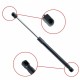 Amortizor telescopic portbagaj EP10575GS EinParts 3C5827550B