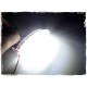 Lampă LED pentru iluminarea plăcuței de înmatriculare EP45 LLI740