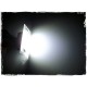 Lampă LED pentru iluminarea plăcuței de înmatriculare EP50 - EinParts 44840601