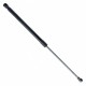 Amortizor Capotă EinParts EP 9107GS - Telescoape Portbagaj/Capotă 8L0 823 359